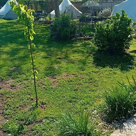 Glamping Yurtas, Camp, Roseart Resort אוהל מפואר