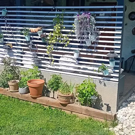 Glamping Yurtas, Camp, Roseart Resort אוהל מפואר *