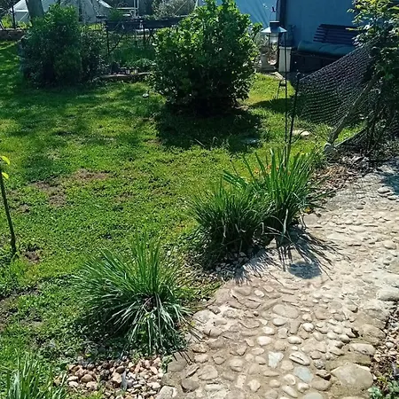 אוהל מפואר Glamping Yurtas, Camp, Roseart Resort *