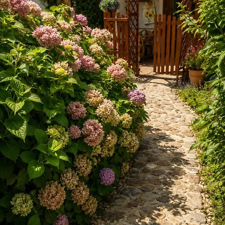 Garden Camp, 4 Youtas, Roseart Resort Luxury tent